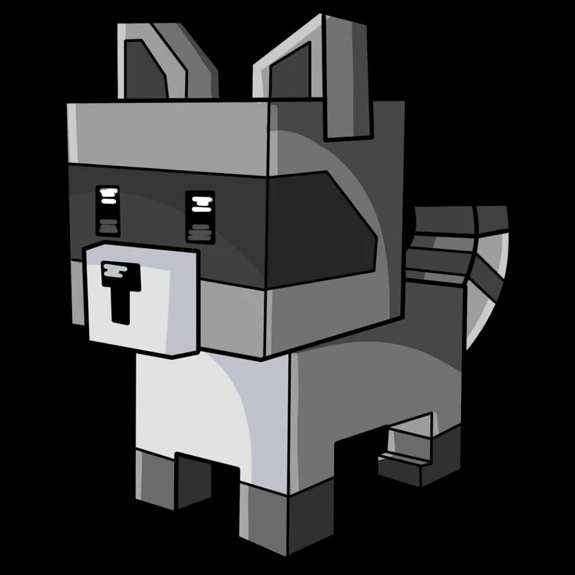 Raccoon